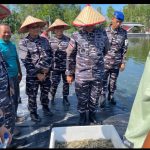 Wujud Dukung Program Ketahanan Pangan Nasional, Lanal Dabo Singkep Panen Udang Vaname